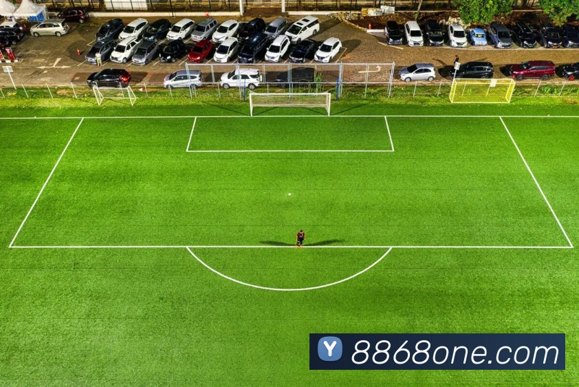 8868体育APP 封面图